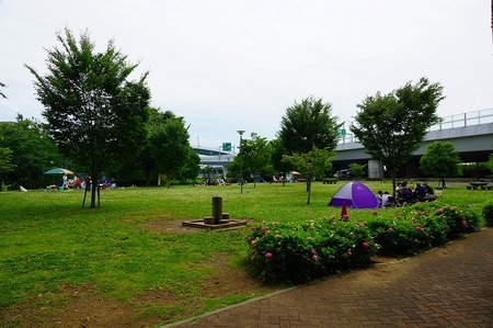 バーベキューのできる海老名運動公園 野球場の裏辺り