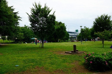 バーベキューのできる海老名運動公園 野球場の裏辺り